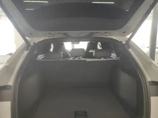 BYD Song PLUS New Energy 2025 (17300 км)