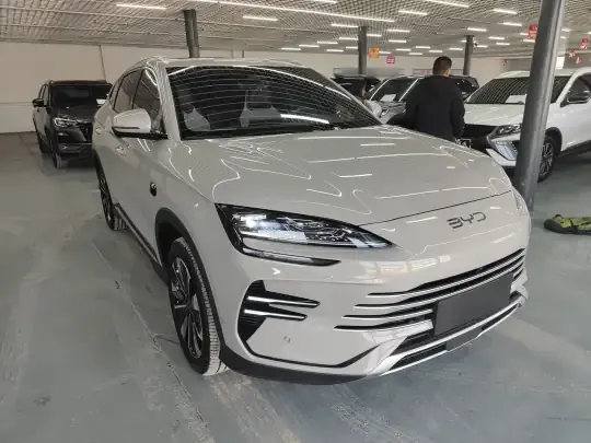 BYD Song PLUS New Energy 2025 (17300 км)