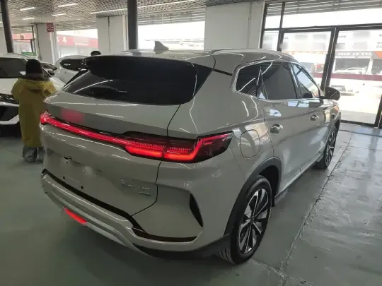 BYD Song PLUS New Energy 2025 (17300 км)