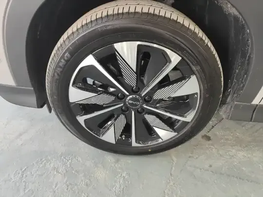 BYD Song PLUS New Energy 2025 (17300 км)