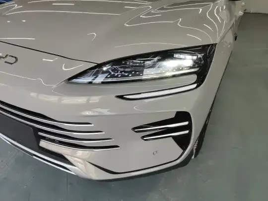 BYD Song PLUS New Energy 2025 (17300 км)