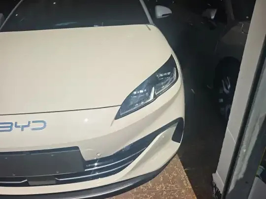 BYD Seal 06 New Energy 2025 (5300 км)