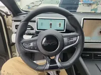 BYD Seal 06 New Energy 2025 (9000 км)
