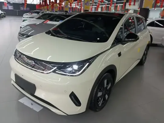 BYD Dolphin 2025 (5300 км)