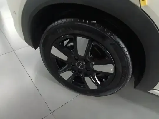 BYD Dolphin 2025 (5300 км)