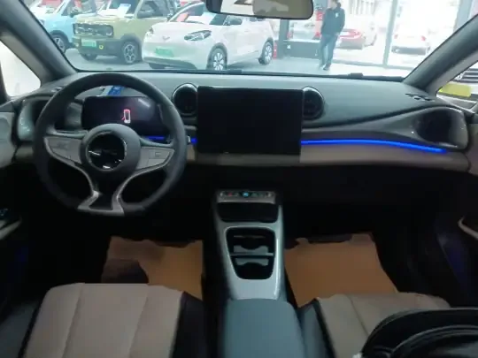 BYD Dolphin 2025 (5300 км)