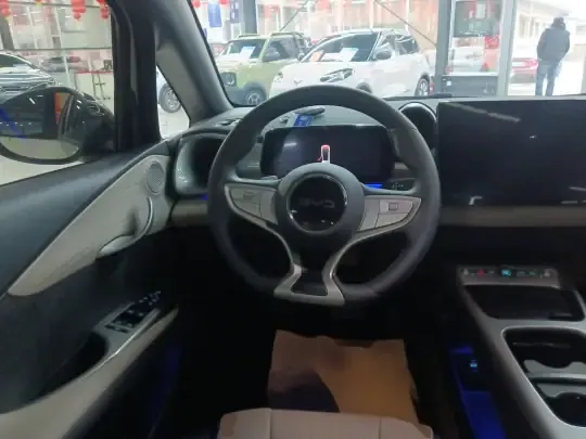 BYD Dolphin 2025 (5300 км)