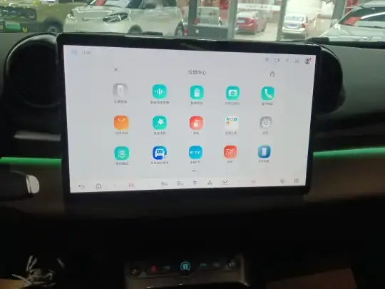 BYD Dolphin 2025 (5300 км)
