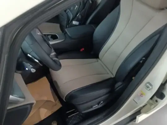 BYD Dolphin 2025 (5300 км)