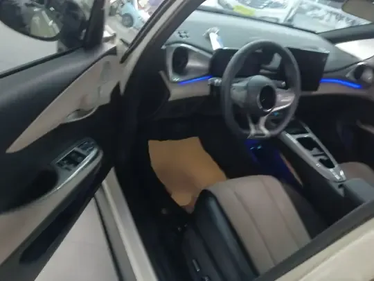BYD Dolphin 2025 (5300 км)