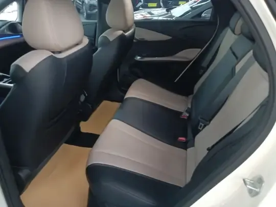 BYD Dolphin 2025 (5300 км)