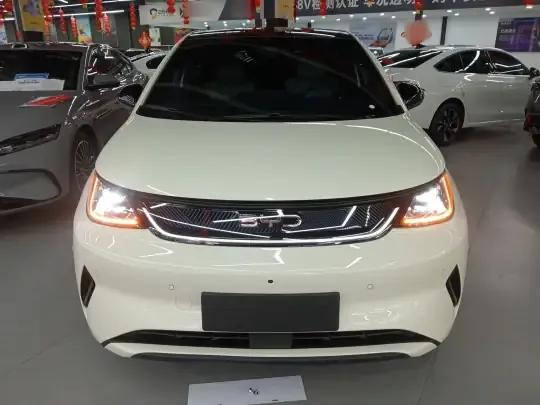 BYD Dolphin 2025 (5300 км)