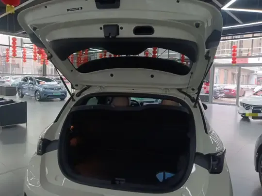 BYD Dolphin 2025 (5300 км)