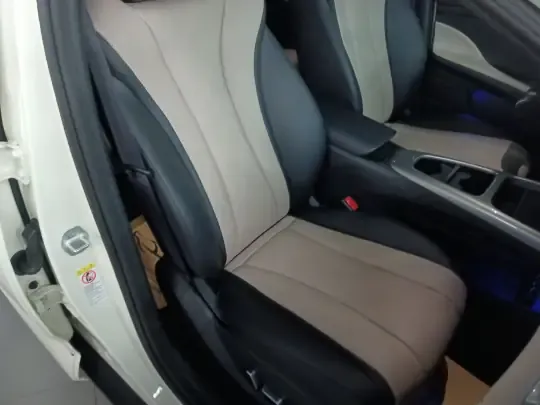 BYD Dolphin 2025 (5300 км)