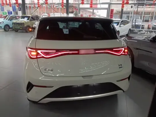 BYD Dolphin 2025 (5300 км)