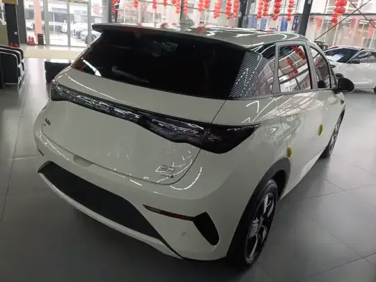 BYD Dolphin 2025 (5300 км)