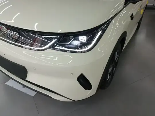 BYD Dolphin 2025 (5300 км)