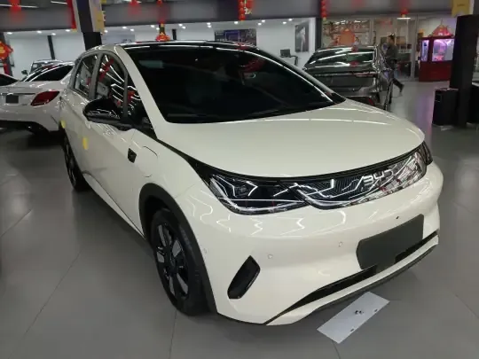 BYD Dolphin 2025 (5300 км)