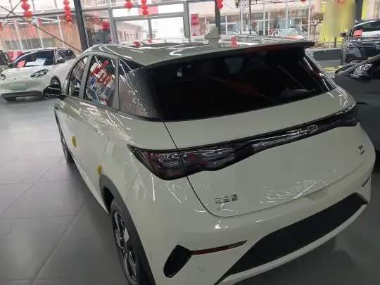 BYD Dolphin 2025 (5300 км)
