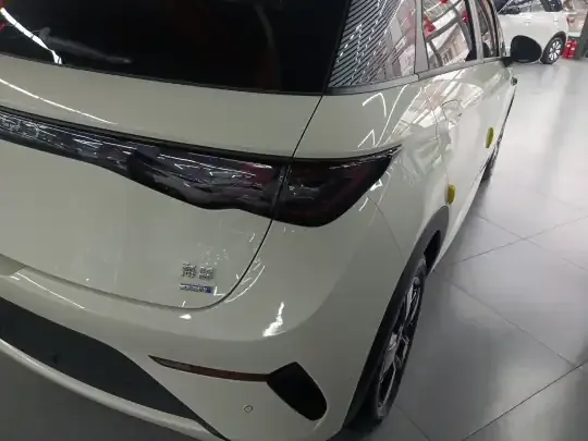 BYD Dolphin 2025 (5300 км)