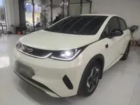 BYD Dolphin 2025 (9900 км)