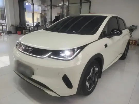 BYD Dolphin 2025 (9900 км)
