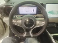 BYD Dolphin 2025 (9900 км)