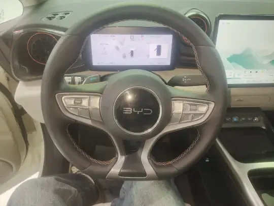BYD Dolphin 2025 (9900 км)