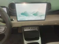 BYD Dolphin 2025 (9900 км)