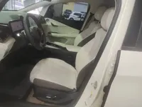 BYD Dolphin 2025 (9900 км)