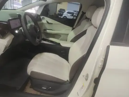 BYD Dolphin 2025 (9900 км)