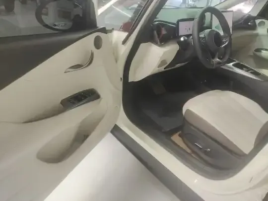 BYD Dolphin 2025 (9900 км)