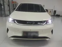 BYD Dolphin 2025 (9900 км)