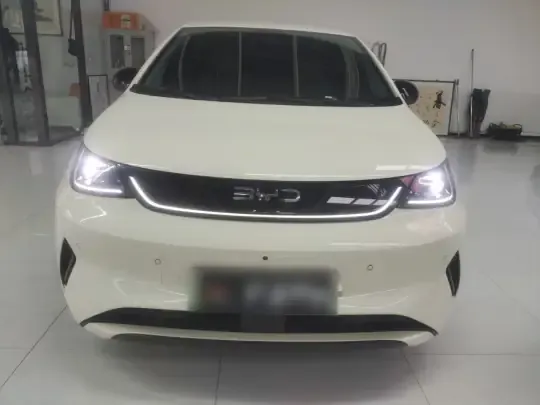 BYD Dolphin 2025 (9900 км)
