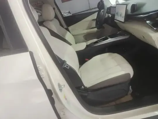 BYD Dolphin 2025 (9900 км)