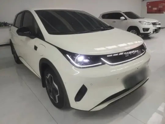 BYD Dolphin 2025 (9900 км)