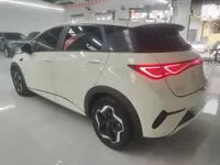 BYD Dolphin 2025 (9900 км)
