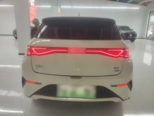 BYD Dolphin 2025 (9900 км)