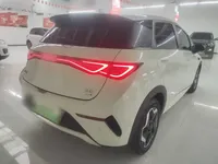 BYD Dolphin 2025 (9900 км)