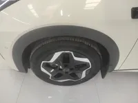 BYD Dolphin 2025 (9900 км)