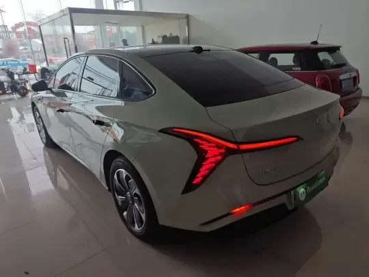 Hongqi Tiangong 05 2025 (11800 км)