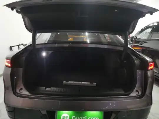 EXEED Star Era ES 2025 (12900 км)