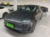 Tesla Model Y 2025 (37300 км)