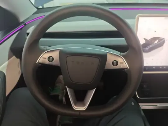Tesla Model Y 2025 (37300 км)