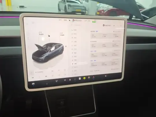 Tesla Model Y 2025 (37300 км)