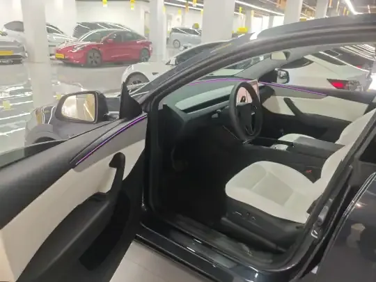 Tesla Model Y 2025 (37300 км)