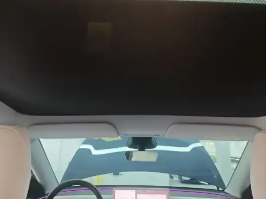 Tesla Model Y 2025 (37300 км)