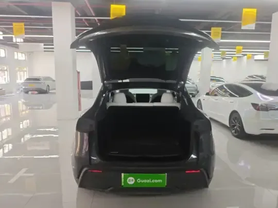 Tesla Model Y 2025 (37300 км)