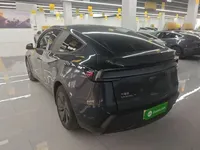 Tesla Model Y 2025 (37300 км)