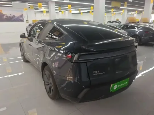 Tesla Model Y 2025 (37300 км)